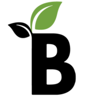 Bloom Talent Solutions Logo