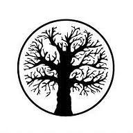Endicott Willow
