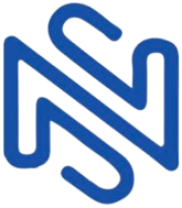 NexusSearch International