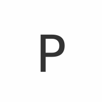 Pishon Executive Search Logo